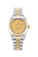 Rolex Replica Lady Oyster Perpetual 76193-24 MM