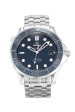 Omega Replica Uhren Seamaster 300m Co-Axial 212.30.41.20.03.001-41 MM